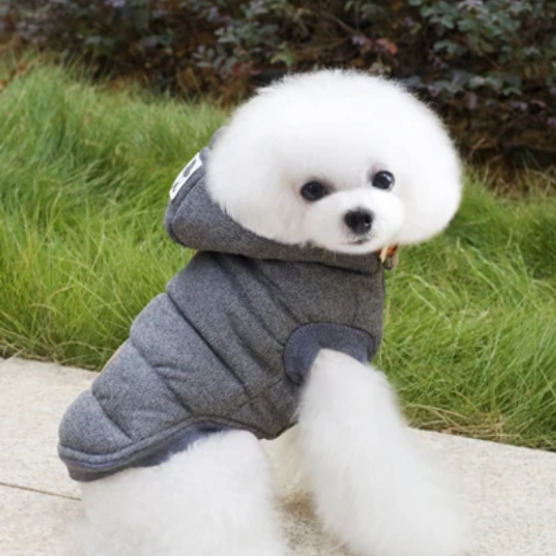 Pawsy Gris - Abrigo de Invierno con Capucha para Mascotas