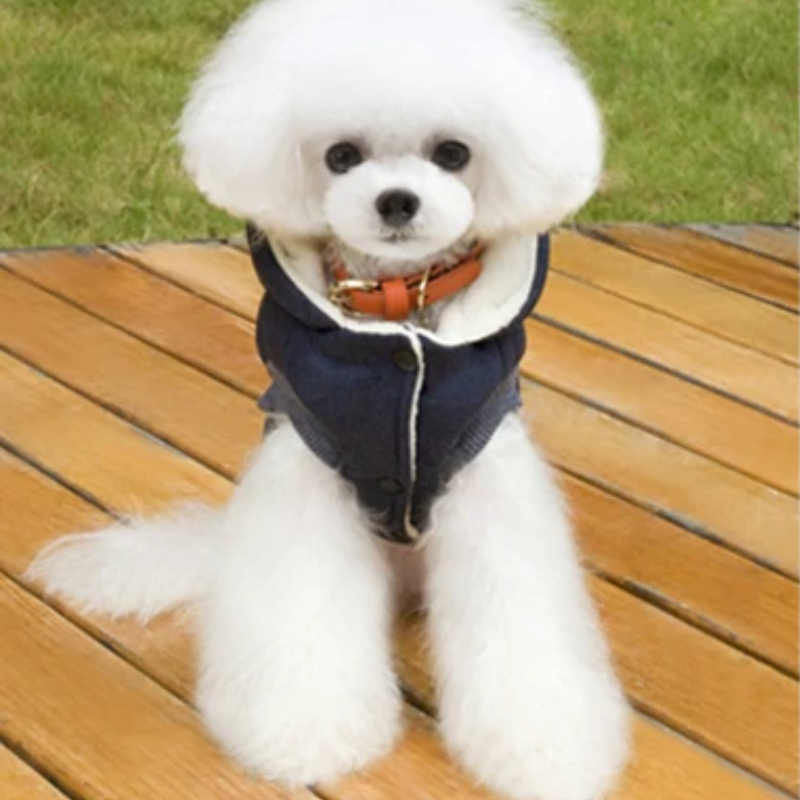 Pawsy Azul - Abrigo de Invierno con Capucha para Mascotas