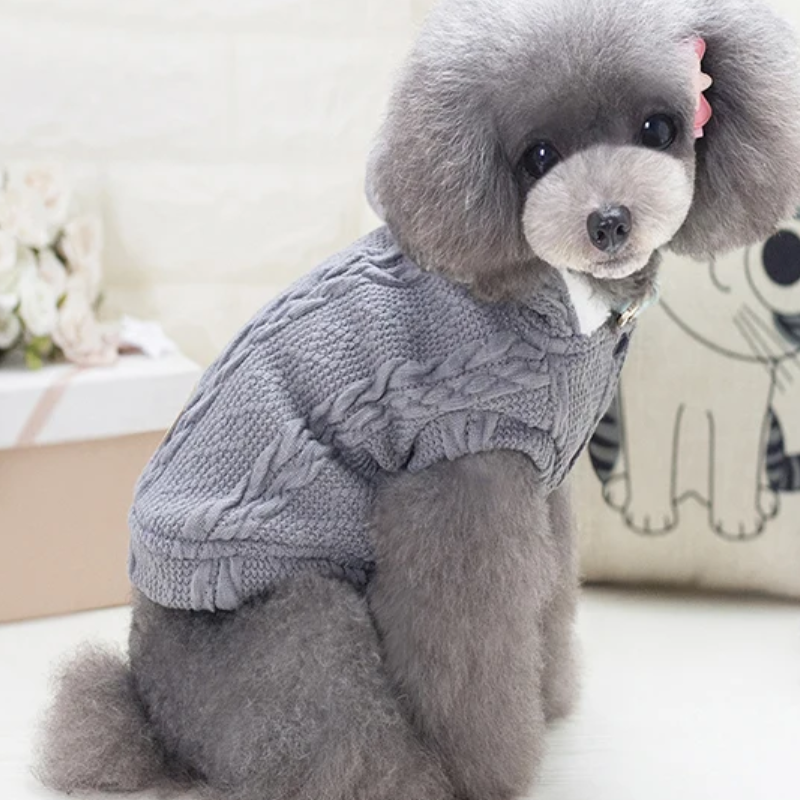 Vivid Gris - Abrigo Elegante de Invierno con Capucha para Mascotas