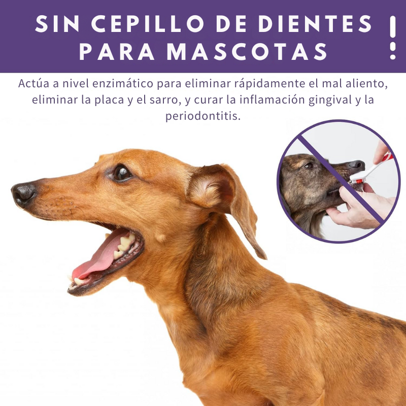 SmilePaws - Reparador Dental para Mascotas