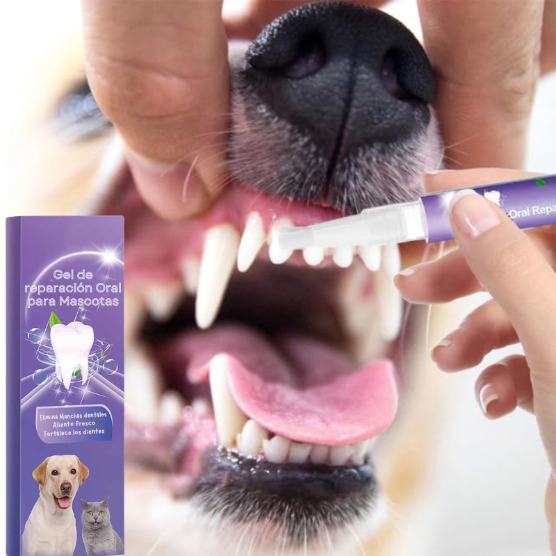 SmilePaws - Reparador Dental para Mascotas