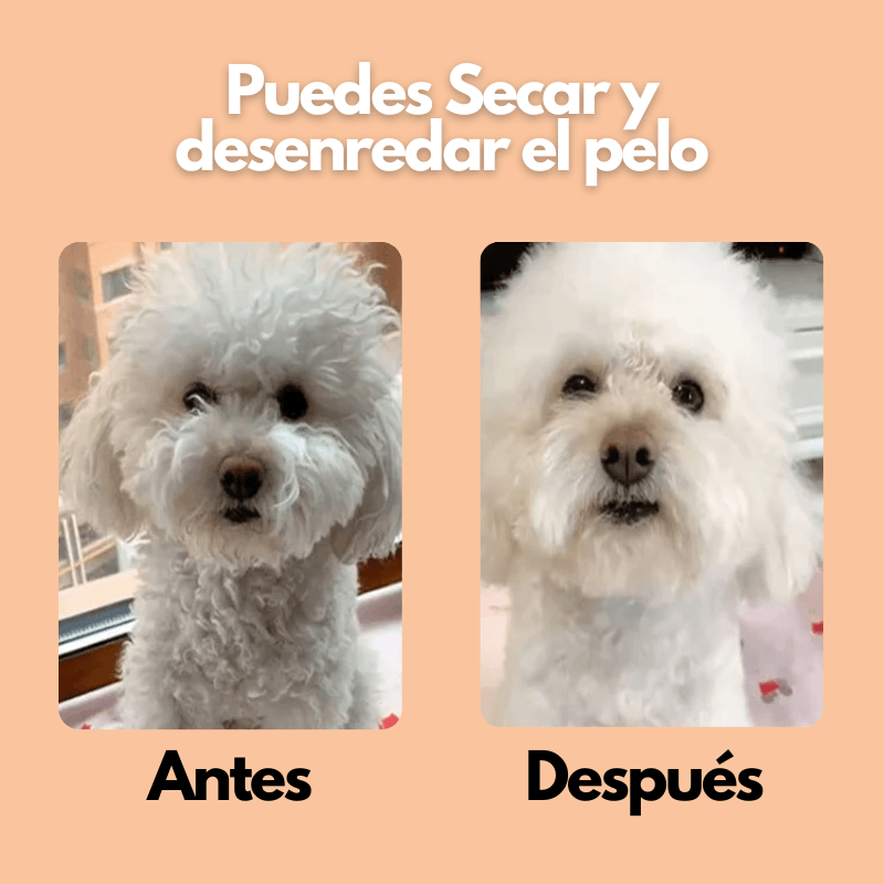 BrisaPet - Secador y Cepillo 2 en 1