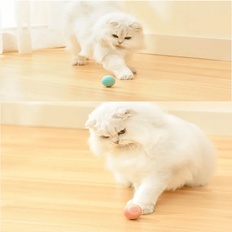 CAT GRAVITY - Pelota Inteligente para Gatos