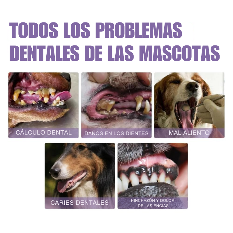 SmilePaws - Reparador Dental para Mascotas