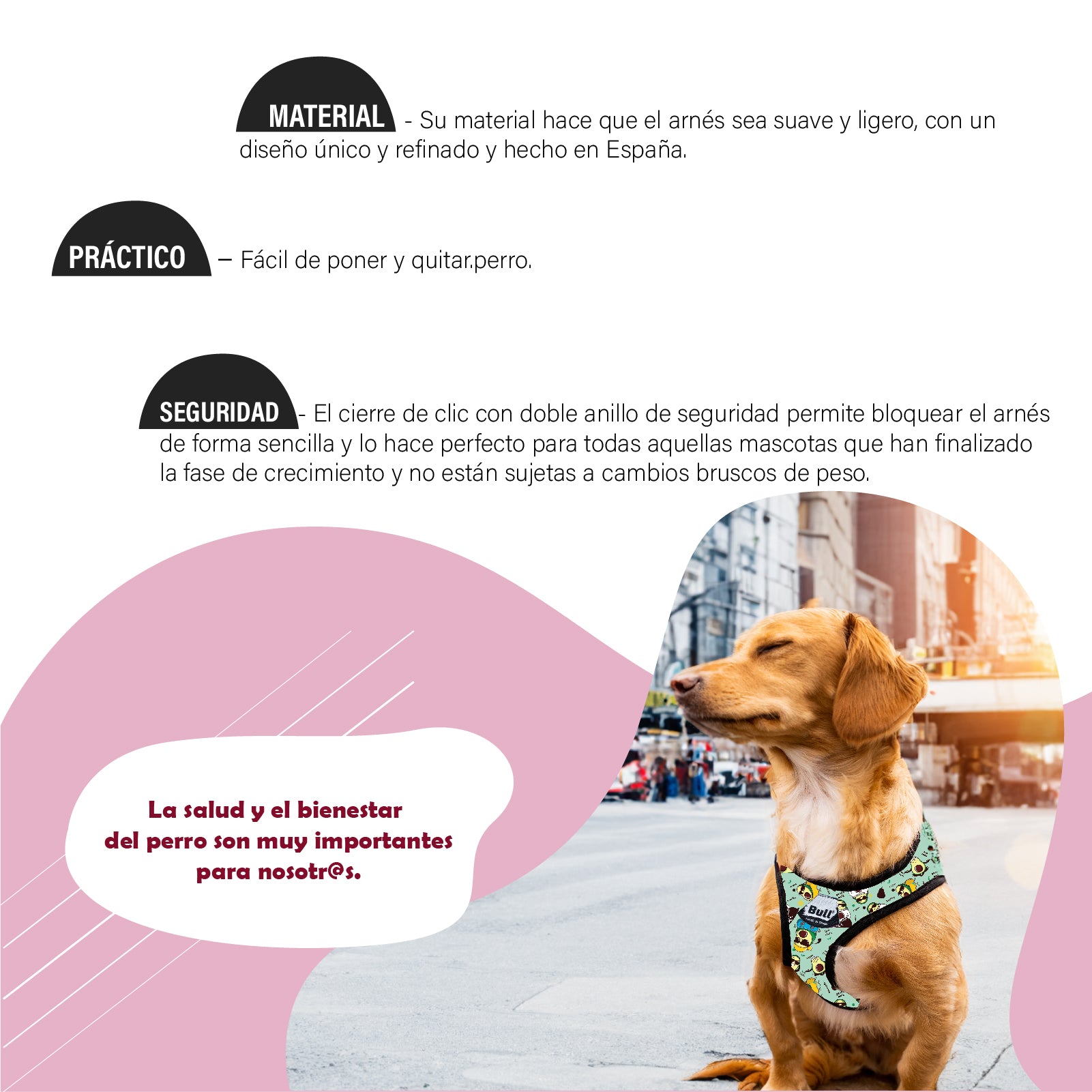 Arnés DUO PET LOVER - BULL