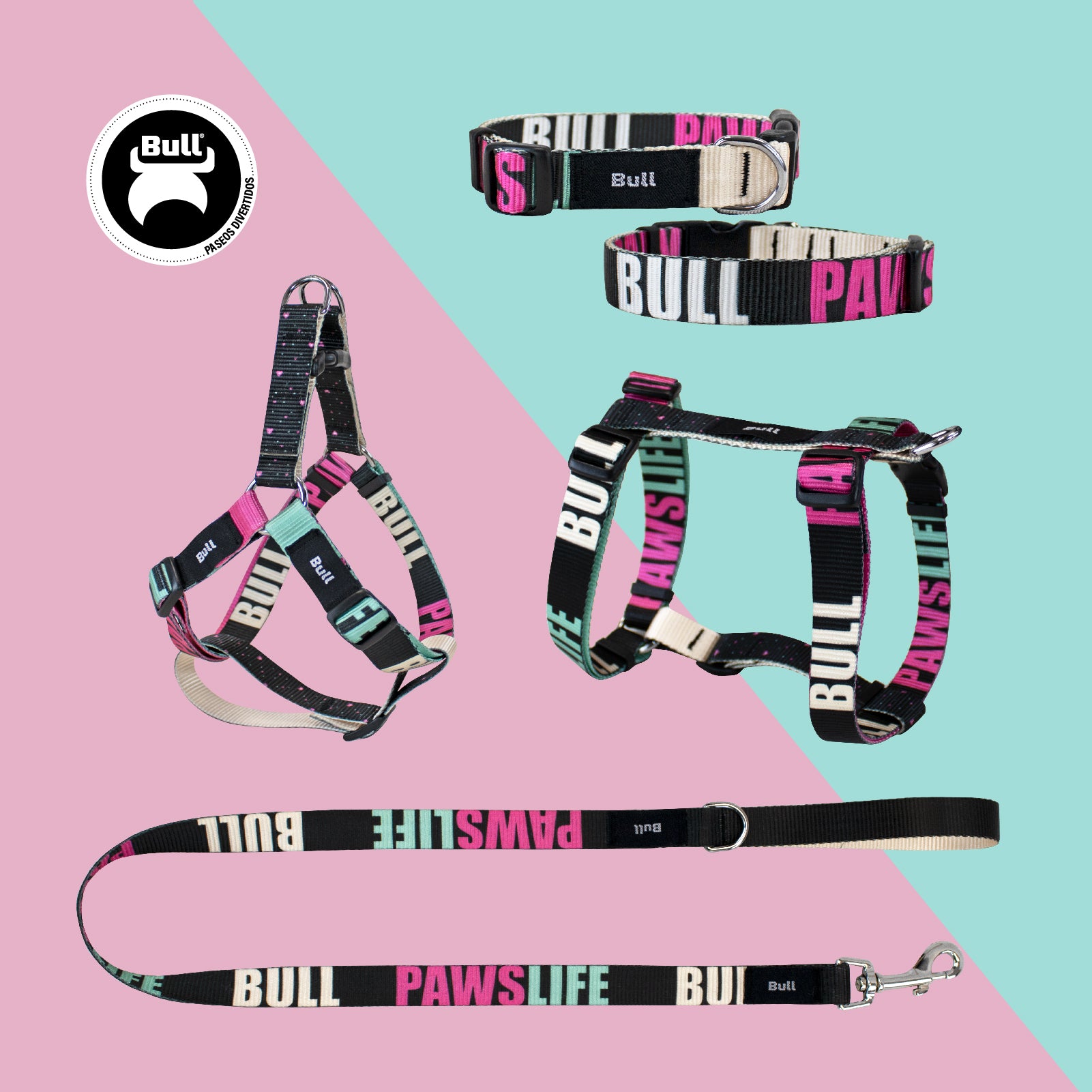 Arnés DUO PAWS LIFE - BULL