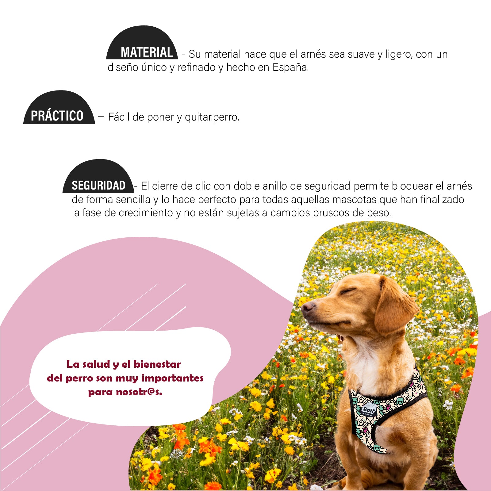 Arnés DUO PAWS LIFE - BULL